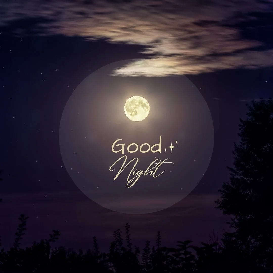 100+ Good night Quote Images frew to download 10